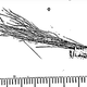 Image for article titled The FBI has released 22 pages of its investigation into Bigfoot